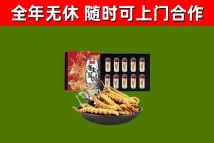 甘肃回收冬虫夏草价格